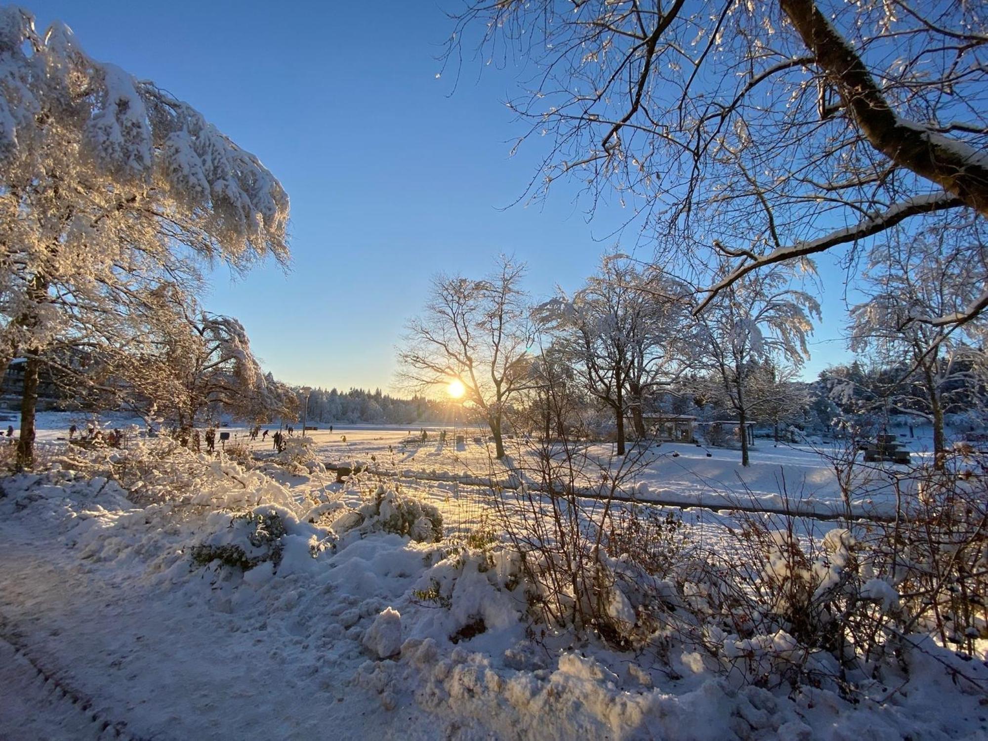 Ferienwohnung Waldgaenger Hahnenklee กอสลาร์ ภายนอก รูปภาพ