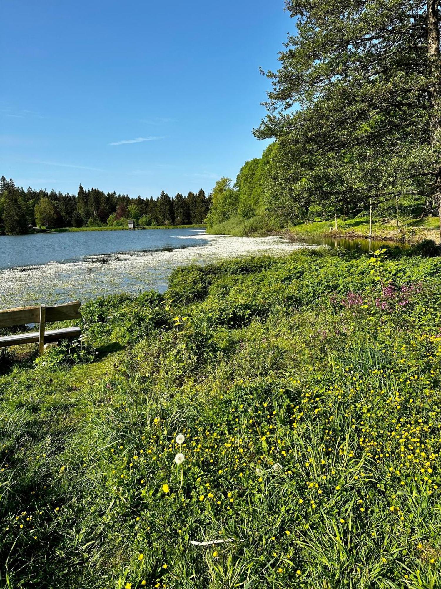 Ferienwohnung Waldgaenger Hahnenklee กอสลาร์ ภายนอก รูปภาพ