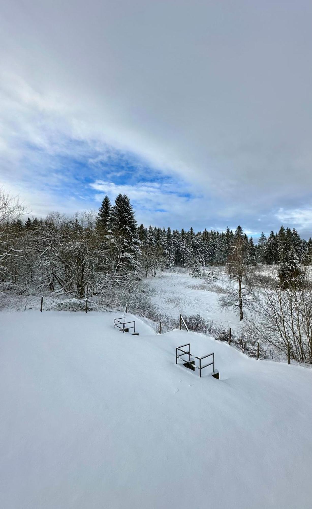 Ferienwohnung Waldgaenger Hahnenklee กอสลาร์ ภายนอก รูปภาพ