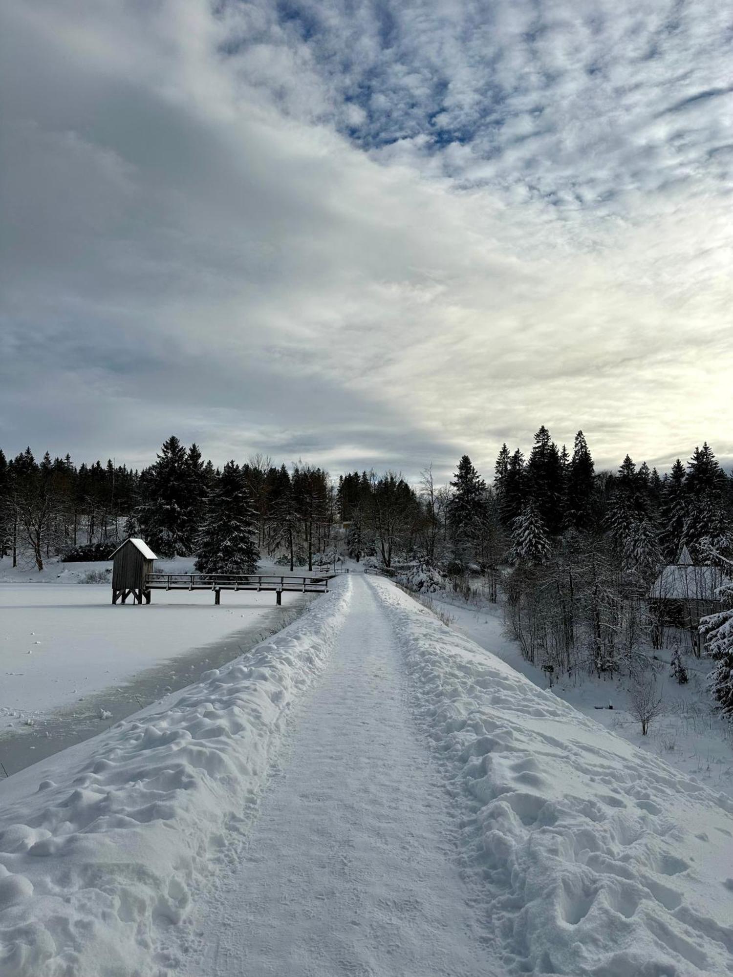 Ferienwohnung Waldgaenger Hahnenklee กอสลาร์ ภายนอก รูปภาพ