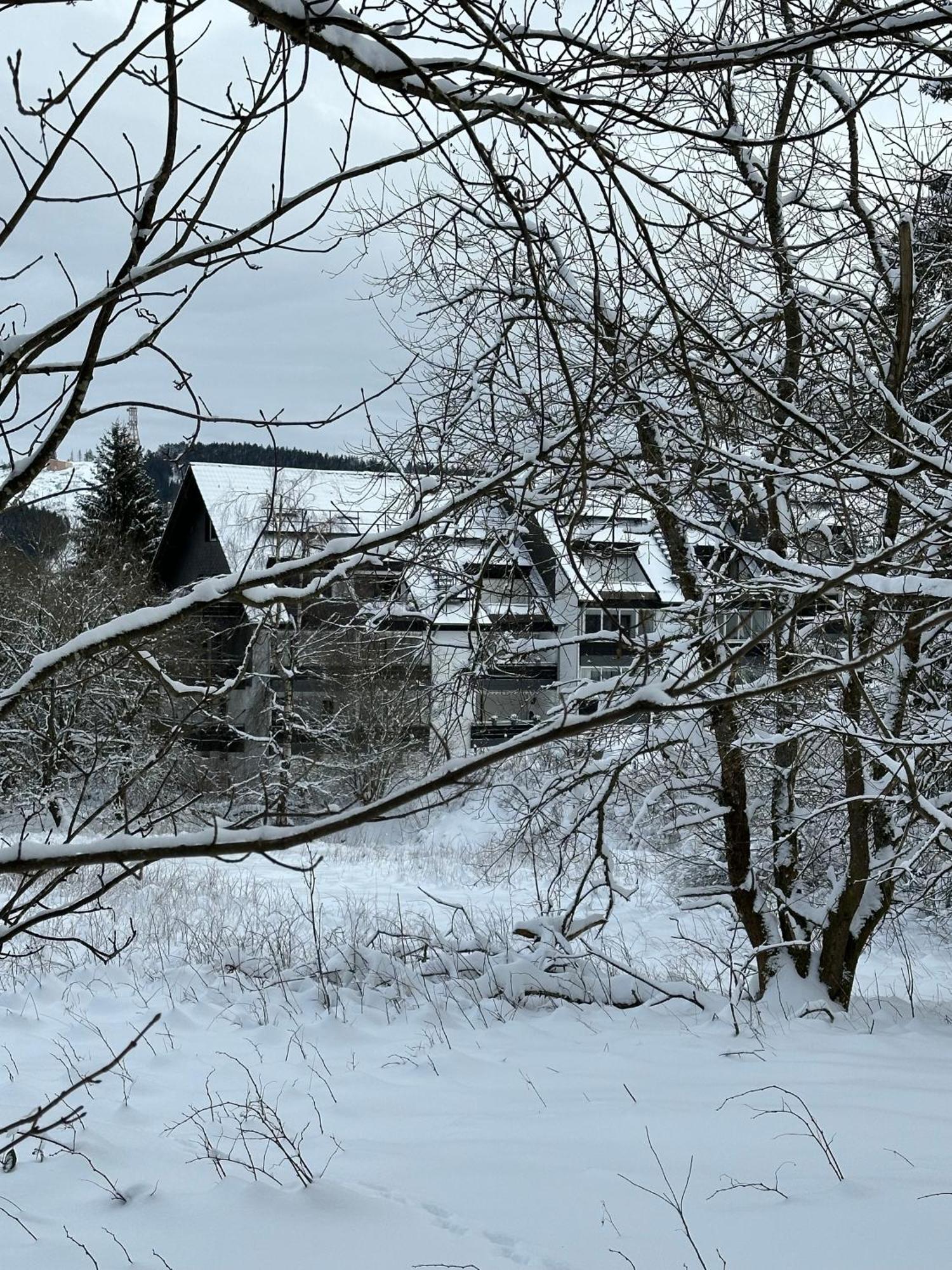 Ferienwohnung Waldgaenger Hahnenklee กอสลาร์ ภายนอก รูปภาพ