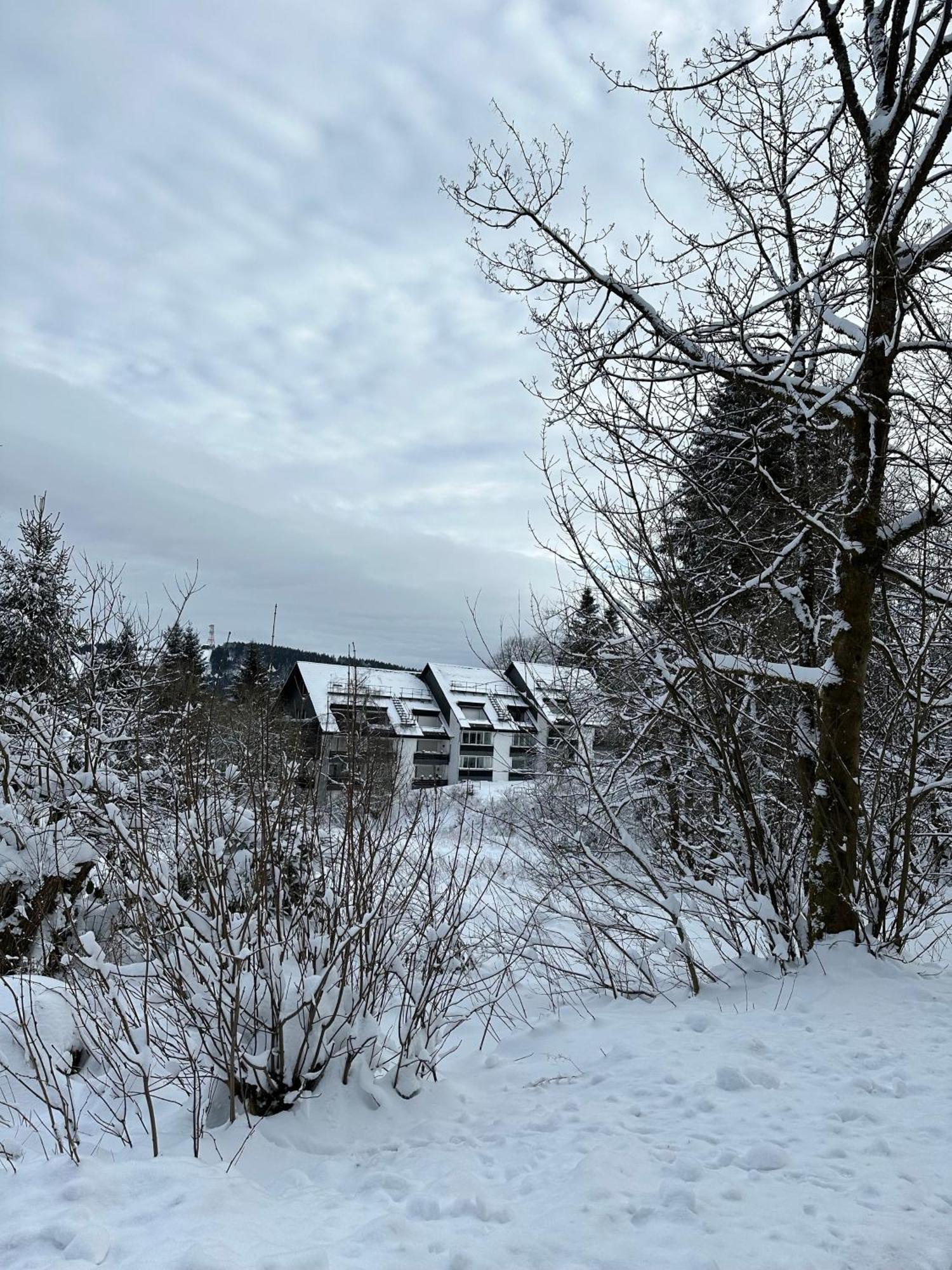 Ferienwohnung Waldgaenger Hahnenklee กอสลาร์ ภายนอก รูปภาพ